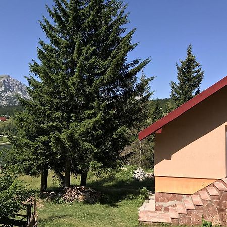 Durmitor Apartments Holiday Žabljak Екстериор снимка