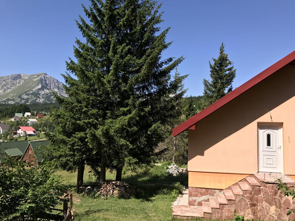 Durmitor Apartments Holiday Žabljak Екстериор снимка